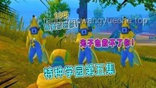 **🐾“坏猫！又跑哪去玩了！”背后的创新追踪启示录**