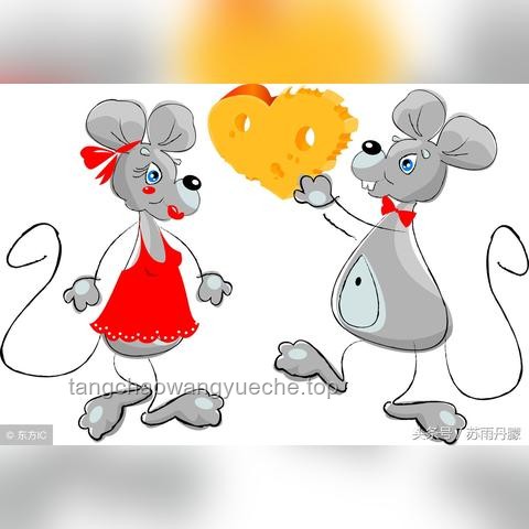 《猫和老鼠》与同类动画对比：解析风靡全球之谜